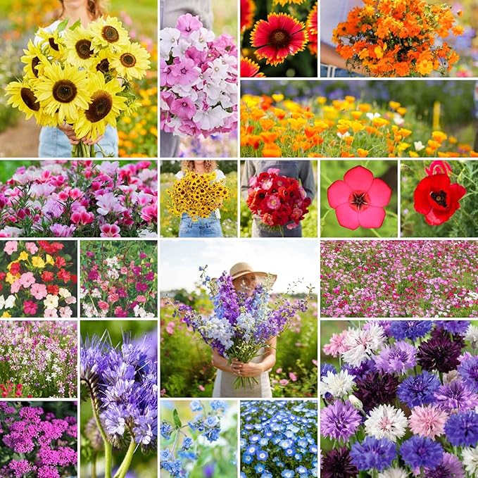 Eden Brothers All Annual Wildflower Mixed Seeds for Planting, 5 lb, 2,400,000+ Seeds with Sunflower, Indian Blanket, Scarlet Flax | Attracts Pollinators, Plant in Spring, Zones 3, 4, 5, 6, 7, 8, 9, 10