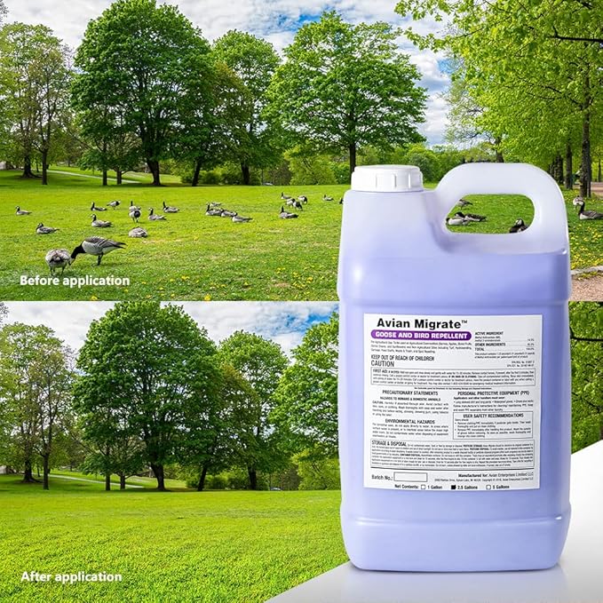 Goose Deterrent, Bird Repellent Concentrate, Geese Repellent, Non-Toxic, Removes Geese from Yards, Parks, Beaches, Ponds and Ground, Made in The USA (1 Gallon)