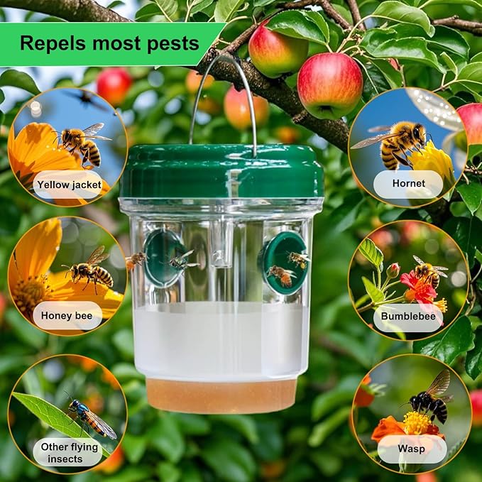 3 Pack Wasp Traps Outdoor Hanging, Solar Bee Trap for Outside with LED Light, Wasp Repellent, Bee Killer, Hornet Deterrent, Yellow Jacket Catcher, Reusable for Garden, Orchard, Indoor