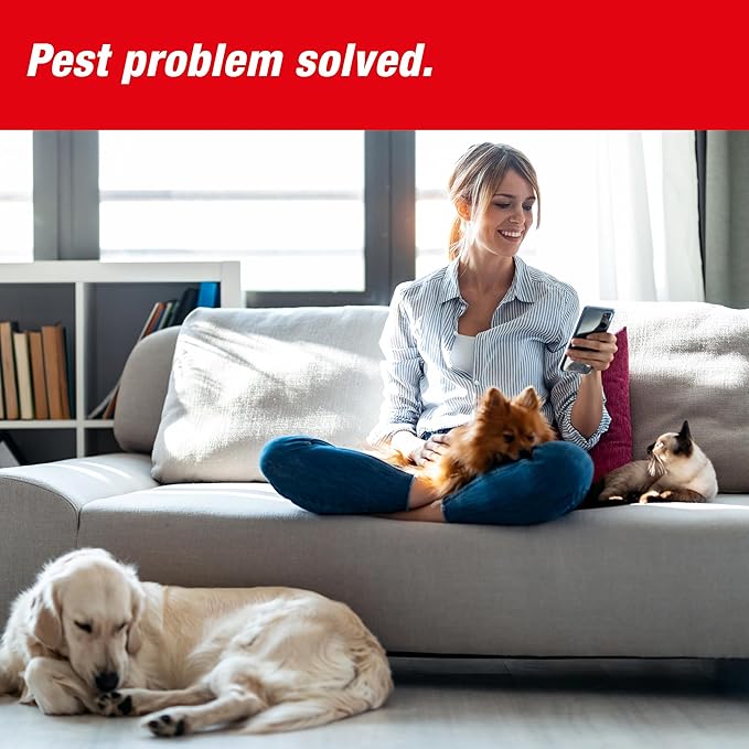 SWISSINNO Mousetraps & Mice Traps for Home - PRO SuperCat - 4 Traps – Pre-Baited Snap Traps with Precision Trigger – Instant Catch & Kill – Indoor & Outdoor Use – Easy Set No-Touch Disposal