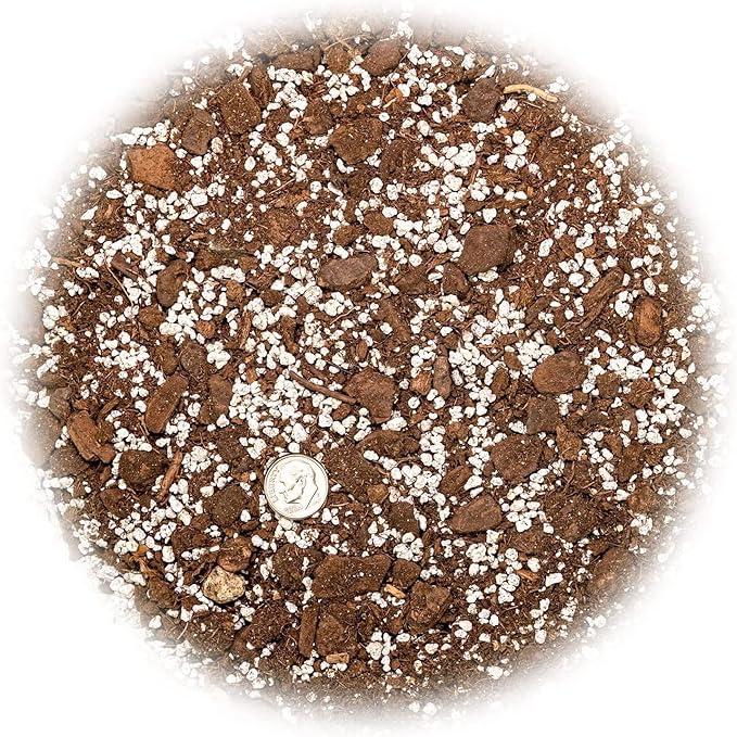 Palm Tree Potting Mix - The Ultimate Soil for Strong and Healthy Palms - Top Choice for Palm Tree Growers ? [20 Quart Bag]