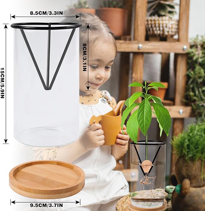 Bylion Avocado Tree Growing Kits, Avocado Growing Vase Wooden Base Avocado Seed Starter Vase Glass Plant Pot Easy Seed Sprout Starter Gift for Women Gardening Lovers Home Office Table Decoration
