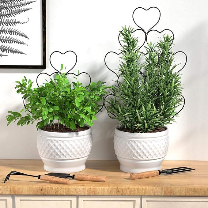 Indoor Plant Trellis for Climbing Plants, Stackable Garden Trellis for Potted Plants, Small House Plant Trellis for Vine Ivy Flower Plant Support Outdoor DIY Metal Trellis 3 Pack, Black