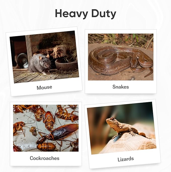 Mouse Traps Indoor for Home- Heavy Duty Sticky Traps for Mice, Small Rats, (4 Pack) Cockroaches & Other Bugs- Eco Friendly & Biodigradable