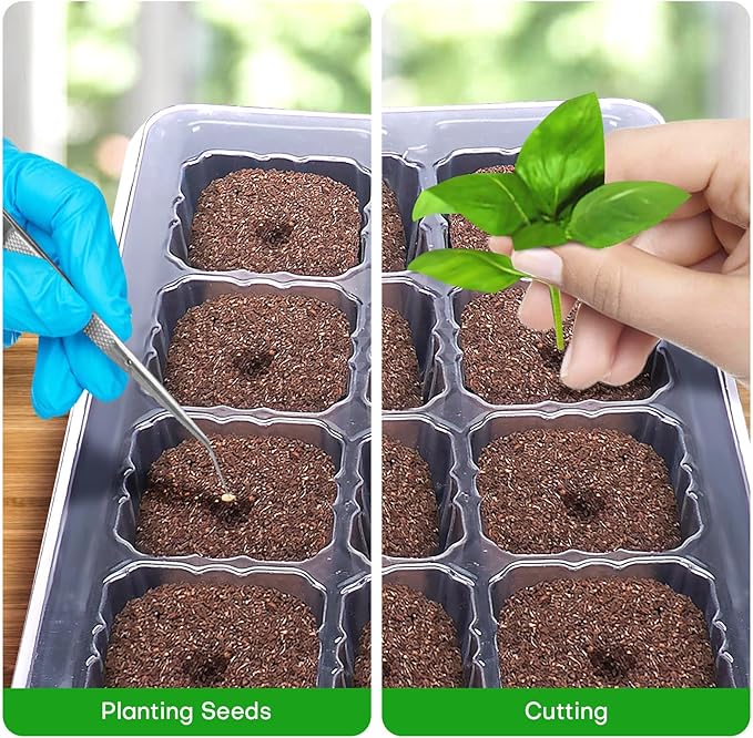 40 Pcs Grow Sponges with Tray, Starter Plugs for Seeds or Cuttings, Great for Soil, Tray or Planting Pods Plant Rooter, Promotes Herbs, Vegetables and Flowers Growth