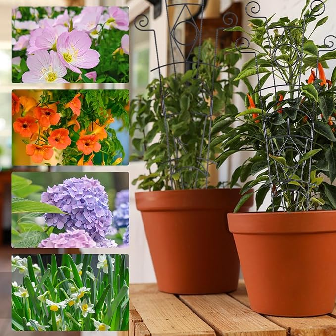 Stackable Metal Trellis for Climbing Plants Outdoor & Indoor - 4 Pack Garden Trellis for Potted Plants, Rust-Resistant Plant Support Stakes for Vines, Flowers - Sturdy Plant Trellis