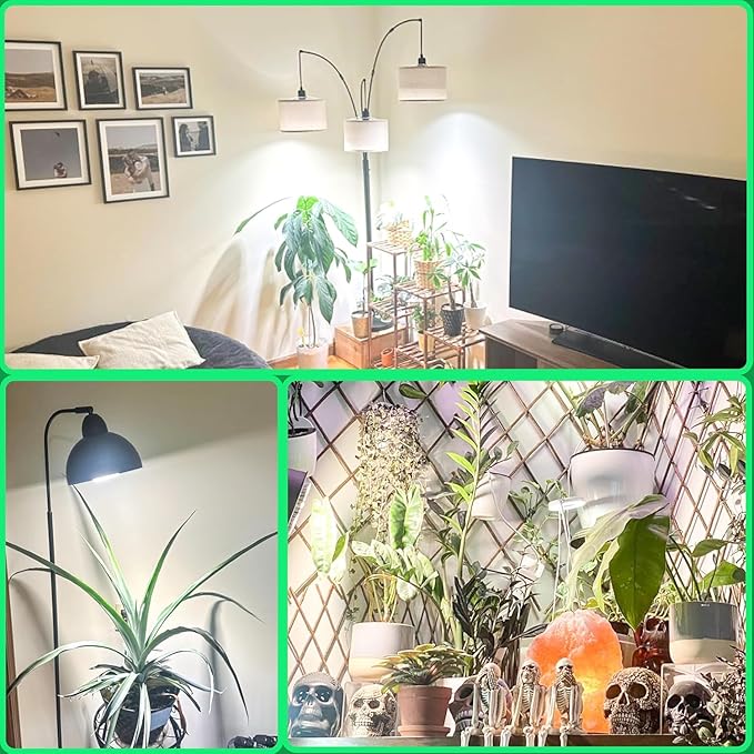 30W LED Grow Light Bulbs Full Spectrum, 3500 Lumen Plant Light Bulb, 320W Equivalent Plant Grow Light Bulb, Grow Bulb E26 Base, Grow Light for Indoor Plants, Pack of 1