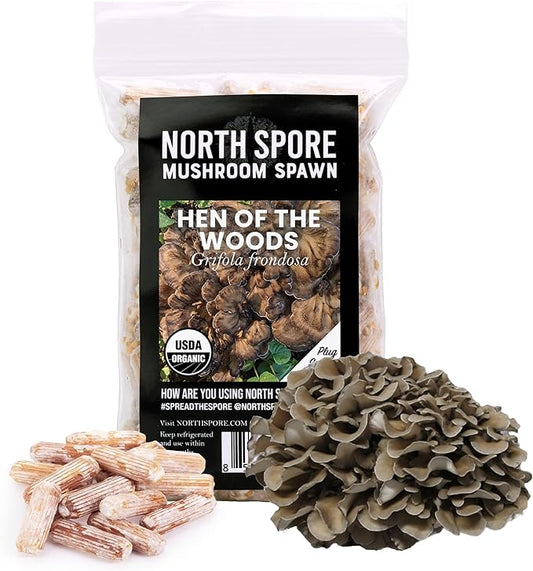 North Spore Organic Hen of The Woods (100 ct) Maitake Mushroom Plugs for Logs | Premium Quality Mushroom Plug Spawn | Handmade in Maine | Grow Gourmet Mushrooms Outdoors | Grifola frondosa