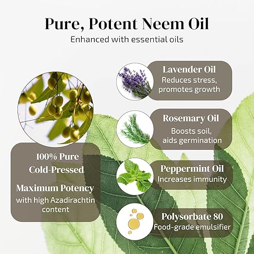 Neem Oil for Plants (Makes 480 fl oz) Infused with Lavender, Peppermint & Rosemary Essential Oils (2.7 fl oz)