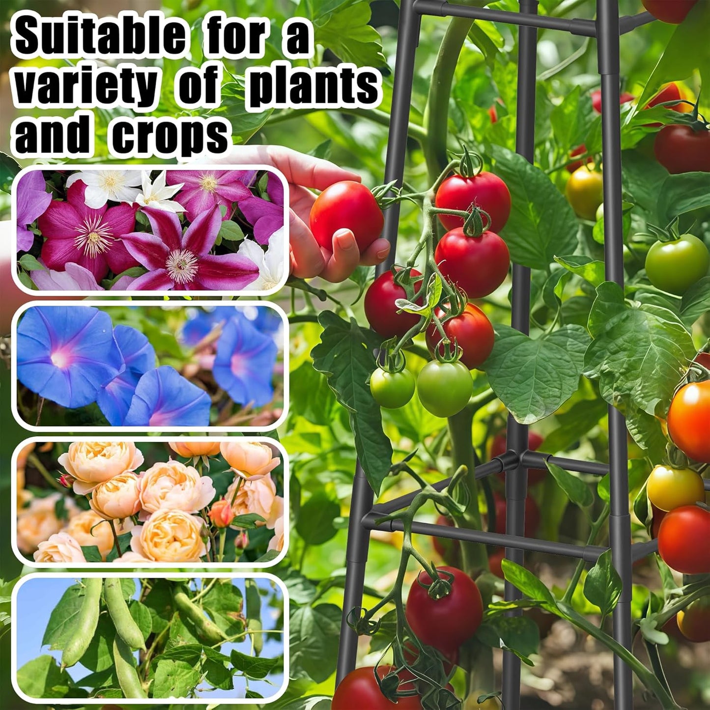 5.2FT Obelisk Trellis for Climbing Plants Outdoor, 16mm Rust-Proof Extra Thickened Plastic-Coated Metal Pipes, Indoor Climbing Support for Potted Plants, Vines, Flowers Stands,Black