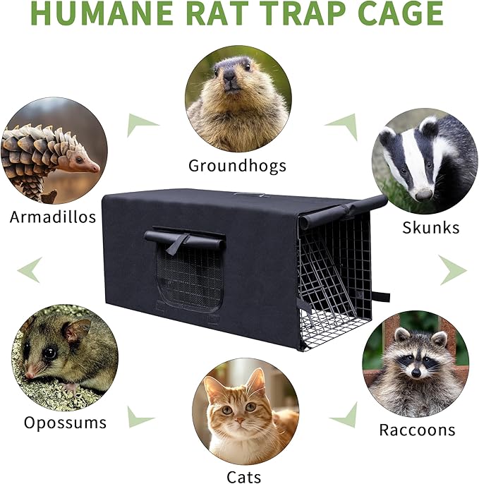 Live Animal Trap Cage with Cover, Cat Trap for Stray Cats 32 Inch Heavy Duty Folding Skunk Traps with Real Door for Raccoons, Opossums, Groundhogs, Skunks, Feral Cats, Squirrels-(32 x 10 x 12 inches)