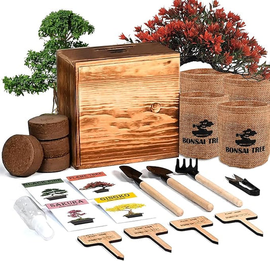 4 Bonsai Tree Seeds with Complete Growing Kit & Wooden Planter Box, Indoor Bonsai Tree Starter Kit, Great Potted Plants DIY Gift for Adults
