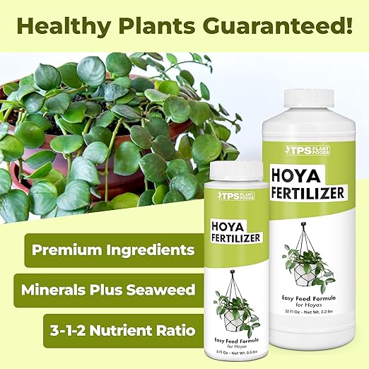 Hoya Fertilizer, Complete Liquid Hoya Plant Food, 8 oz (250mL)