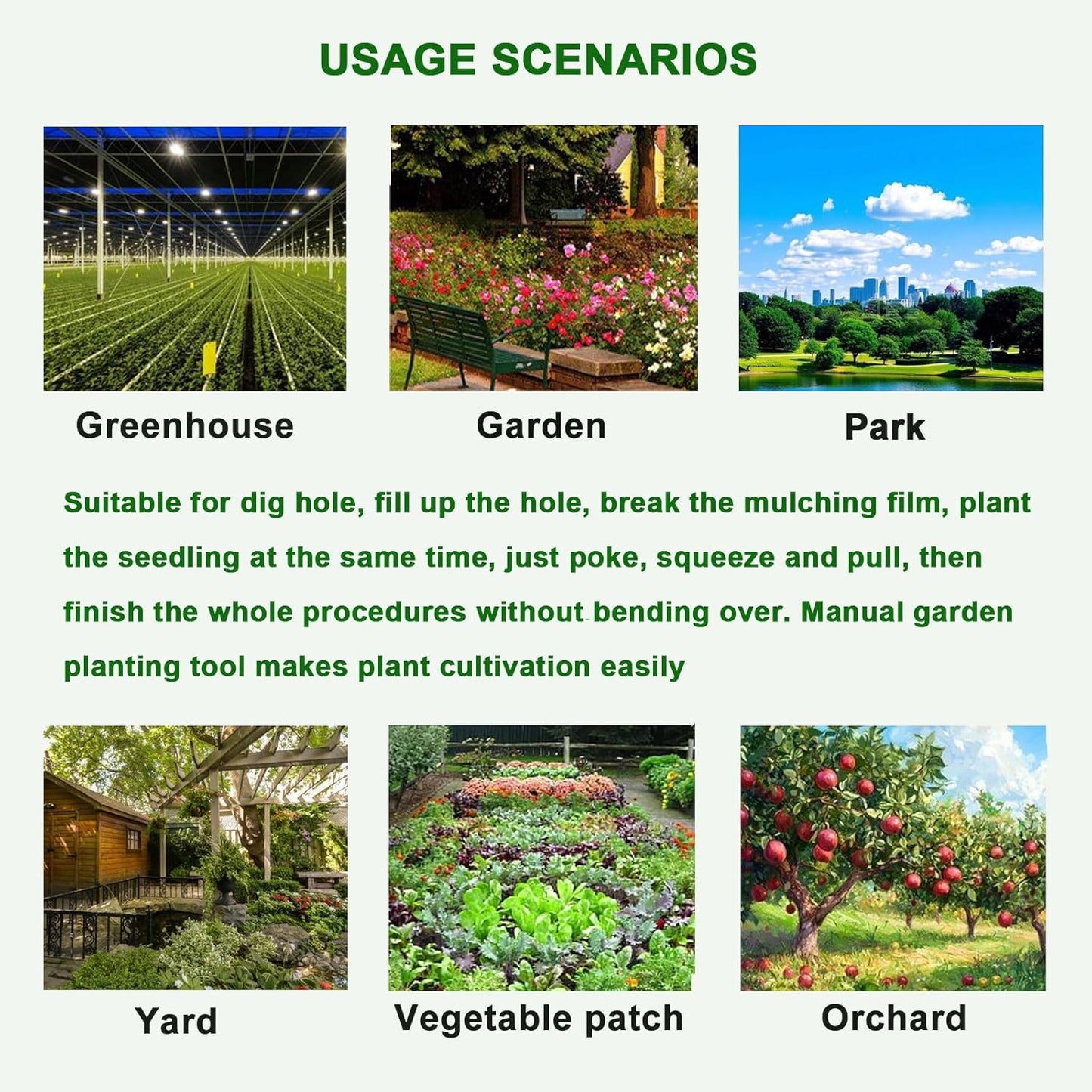 Seedling Transplanting Bulb Planter Tool Long Handle, Vegetable Young Plant Manual Plant Transplanter, Single Handle Stainless Steel Planting Garden Tools for Garden, Greenhouse