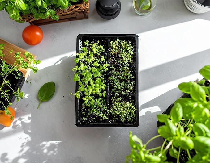 The Hydroponic City Seed Starter Trays, 216-Cell Seedling Starter Trays (36 Trays - 6 Cells Each) + Plant Stakes