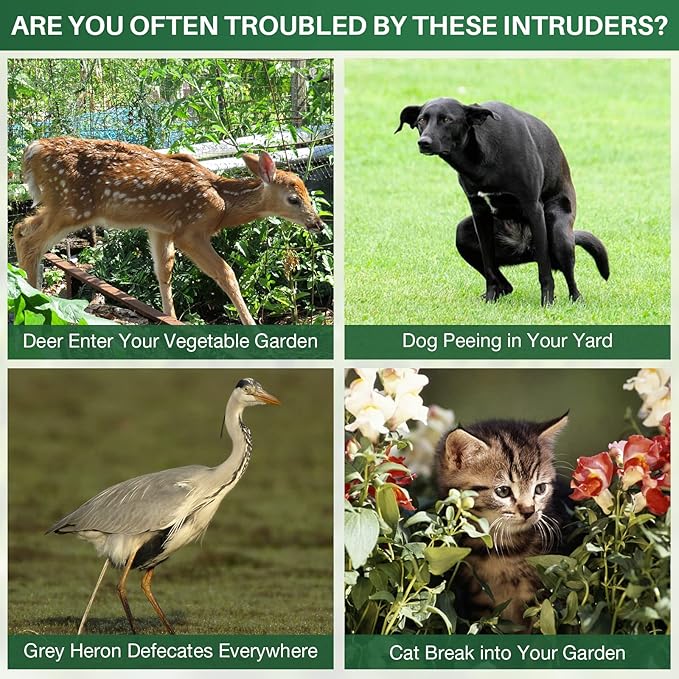 Animal Repellent Outdoor,Solar Pest Animal Repellent Outdoor,Squirrel Repellent,Racoon Repeller,Effective Deer Repellent Devices with Motion Sensor & Flashing Light (1 Pcs)