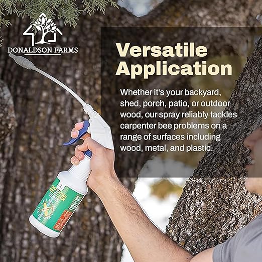 All-Natural Foaming Spray - Carpenter Insect Bee Killer - Reliable Defense for All Kinds of Insects, 16 oz
