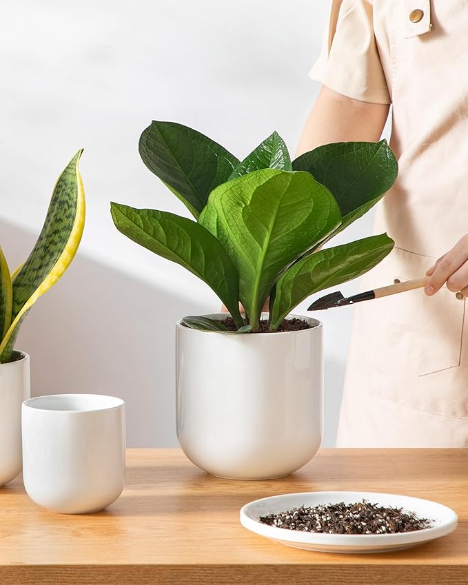 vancasso Ceramic Plant Pots, 4+5+6 inches, Set of 3, Planters with Drainage Hole, Flower Pots Planters Pots for Indoor Plants, Modern Indoor Decorative Garden Pot, Home Decor, White