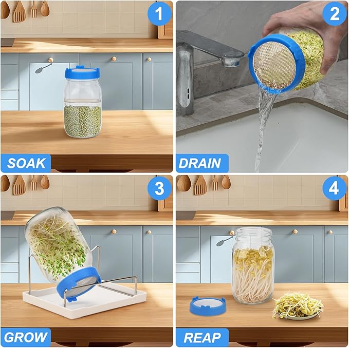Lulonpon Sprouting Kit, 2 Sprouting Jar Kits, Wide Mouth Quart Mason Jars with Stainless Steel Screen Sprout Lids,1000ml Sprouts Growing Kit, Seed Sprouter Set for Growing Broccoli, Bean, Alfalfa