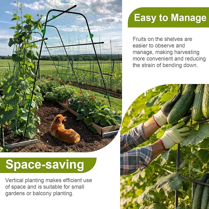 Garden Arch Trellis for Climbing Plants Vegetable Outdoor 67" x 63" A-Frame Cucumber Trellis with Climbing Netting & Plant Clip Tomato/Pea/Zucchini/Squash Trellis for Raised Garden Bed