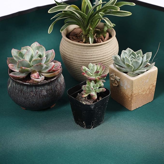 Oxford Houseplants Repotting Mat, Waterproof Indoor Plant Potting Tray, Foldable Bonsai Repotting Pad, Garden Soil Mess Workspace Cloth for Succulent, Cactus, Aloe Vers, 29.5 x 43.3