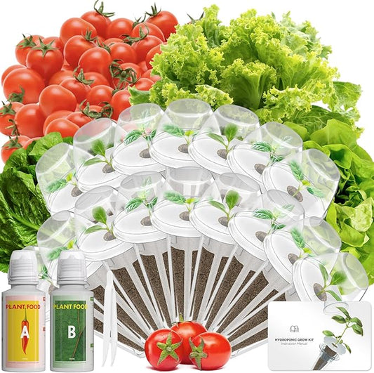 Salad Seed Pod Kits for AeroGarden, Ahopegarden, iDOO Hydroponics Growing System Herb Garden, 400+ Seeds, Including American Fast Lettuce, Buttercrunch Lettuce, Red Cherry Tomato(16-Pods)