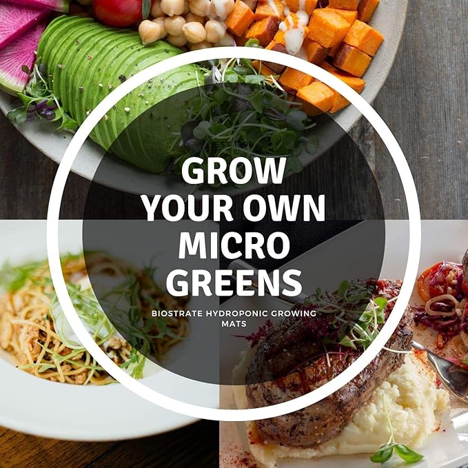 Micro-Mat Minis Hydroponic Grow Pads - for Organic Production - Plant & Seed Germination: Wheatgrass, Microgreens, More - Measures 4" x 4" to fit 5" x 5" Greenhouse Plant Trays (48)