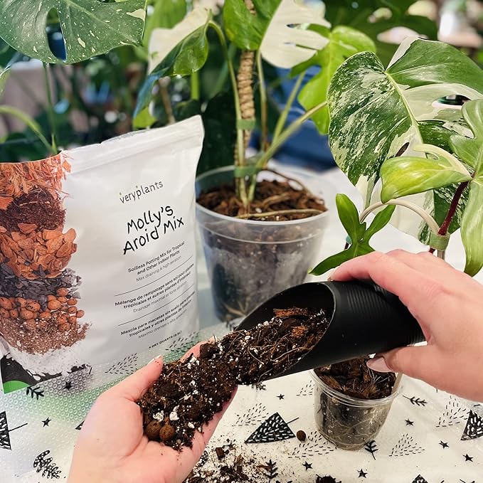 Molly's Aroid Mix - Premium Soilless Potting Mix for Houseplants - Fast Draining, Chunky & Easier to Water vs. Soil for Indoor Plants - with Bark, Coco Chips, Worm Castings, Mycorrhizae 10 Dry Quarts