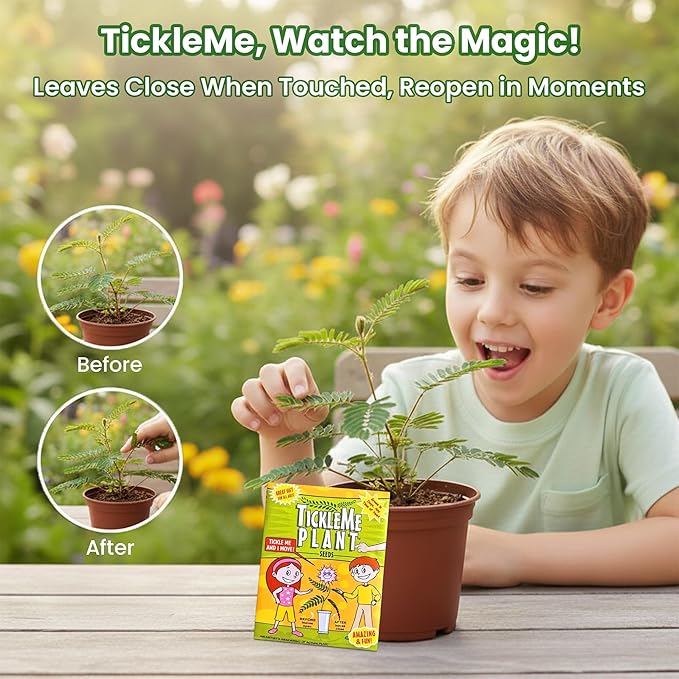 TickleMe Plant Birthday Party Favors (Pack of 2) | Leaves Fold When You Tickle It, Reopen in Minutes | Kids Plant Growing Kit with Indoor Plants Seeds, Live Plants, Grow Kit, Gardening for Kids