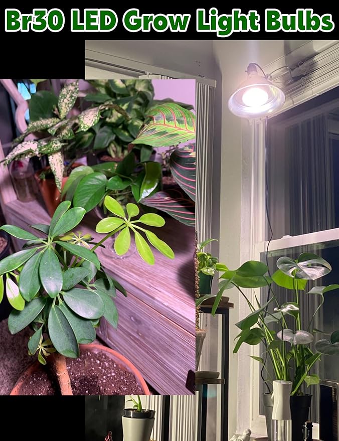 BR30 LED Grow Light Bulbs Floodlight 5000K Red Blue Full Spectrum, 20W E26 Plant Light Bulb 200w Equivalent, Balanced Spectrum for Indoor Plants, Seeding, Growing, Hydroponic, 2000lm, 2pcs