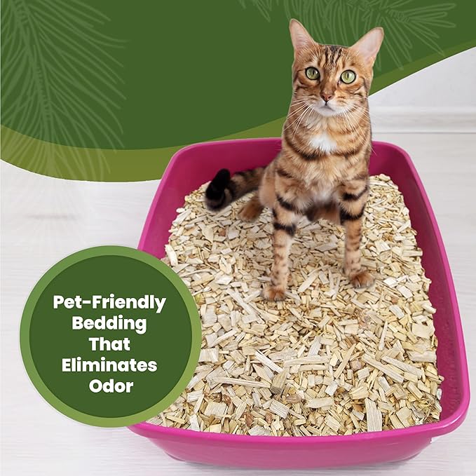 Double Tree Incense Cedar Wood Chips for Potted Plants, Garden, Animal Beddings and Litter Box - 100% Natural Perfect for Indoor and Outdoor Use… (8 Quart)