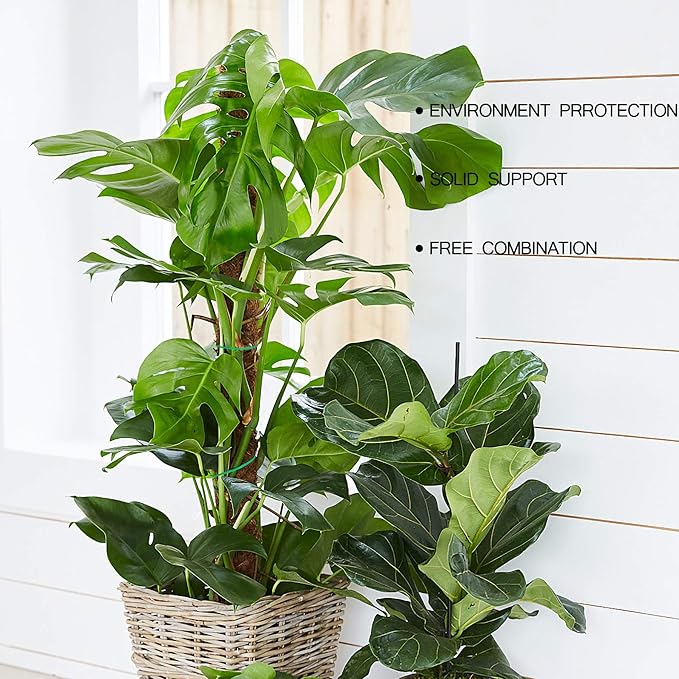 Moss Pole, Augshy 48 Inch Moss Poles - 4Pcs 12 Inch Coir Totem Poles Moss Climbing Sticks for Indoor Creepers Plant Support Extension