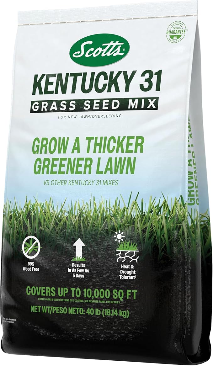 Scotts® Kentucky 31 Grass Seed Mix, for New Lawns or Overseeding, Results in as Few as 5 Days, 40 lbs.