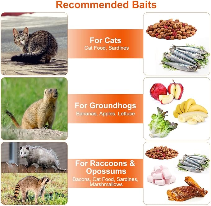 iMounTEK Humane Live Animal TrapLarge Humane Cat Trap Catch Release Animal Rodent Cage Collapsible Galvanized Wire for Small Raccoons Beavers Groundhogs Foxes Armadillos