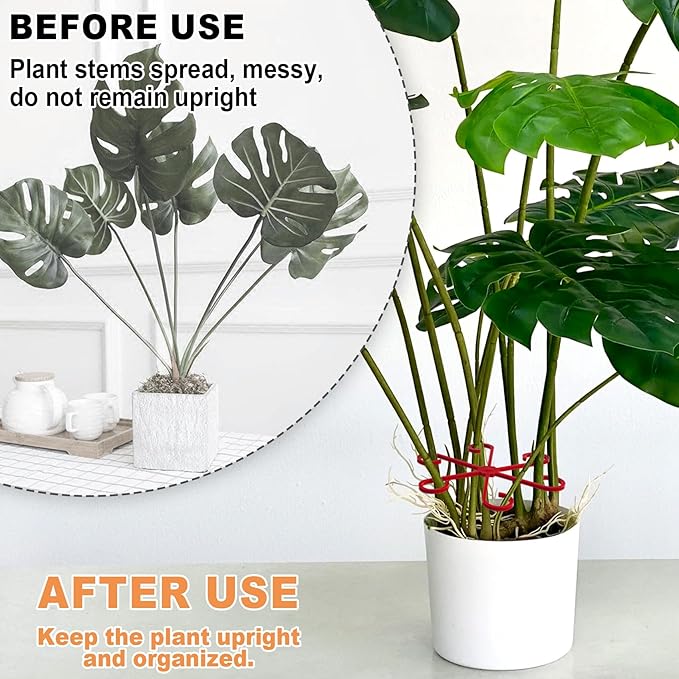 8PCS Plant Stem Support, 4 Sizes Climbing Houseplant Stem Holders, Plastic Reusable Flower Trellis Stem Hook Plant Care Growth Accessories for Flower Plants Indoor Outdoor- Green, Red