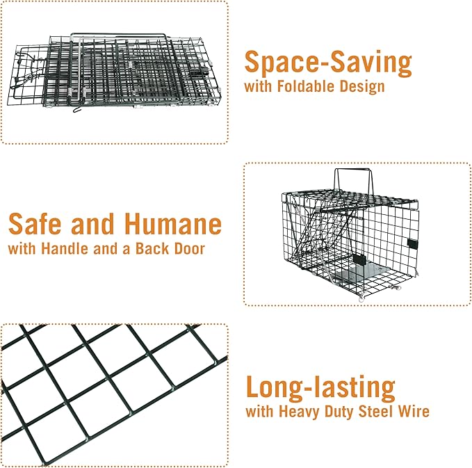 HOMESTEAD Collapsible Live Trap 14in – Small Animal Trap Cage for Red Squirrels, Adult Rats, and Small Weasels with 1″ Mesh Wire