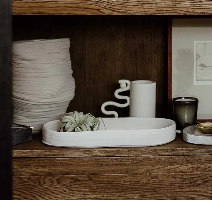 Air Plants - Tillandsia Xerographica, Regular 3-5” - 1ct - Live Arrival Gauranteed - House Plants for Home Decor & Gift