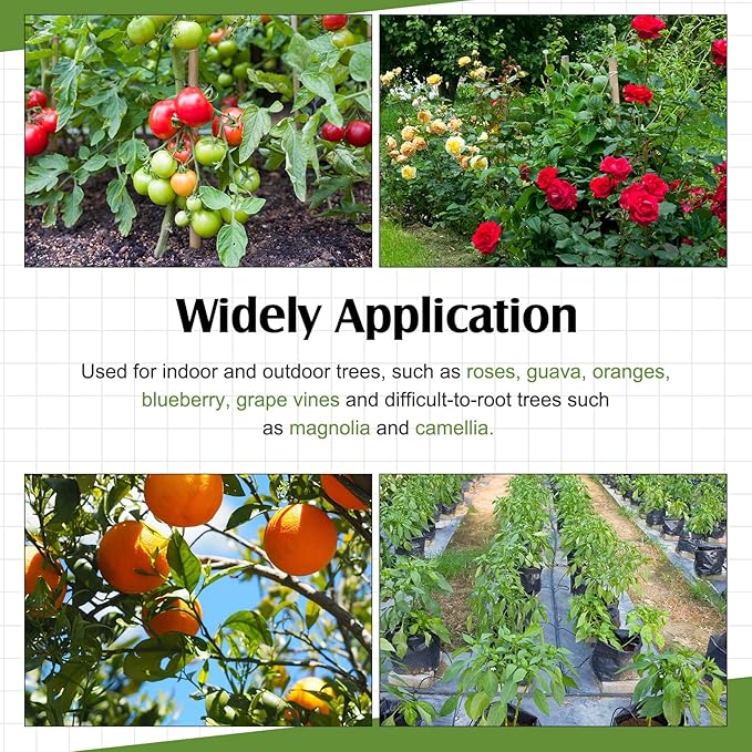 20 Pcs Air Layering Propagation Kit Reusable Half Black Half Transparent Grafting Ball Air Layering Pods Propagation Box Plant Rooting Grafting Box for Plants, Large