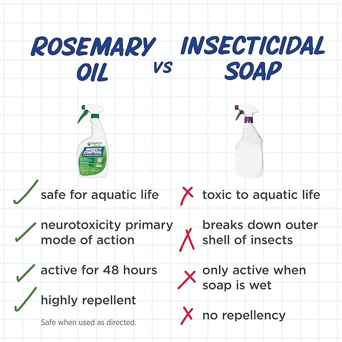 Earth's Ally Insect Control Concentrate for Plants 32 oz | Safe Outdoor & Indoor Plant Insecticide, Spider Mite, Aphid & Mealybug Killer - for Organic Garden & Household Plants