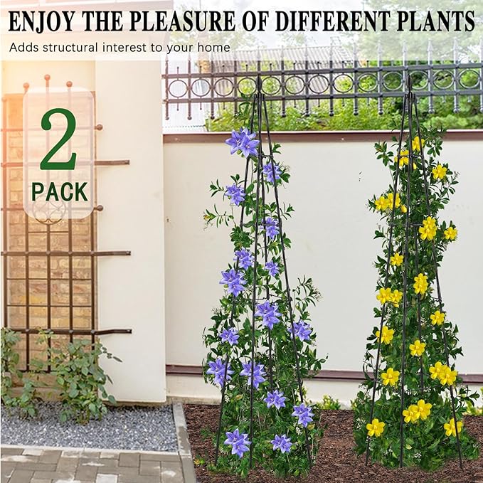 2 Pack Garden Trellis for Climbing Plants Outdoor,63inch Tall Rustproof Metal Obelisk Trellis Support for Potted Vines Vegetable Plants Indoor Outdoor, Lightweight