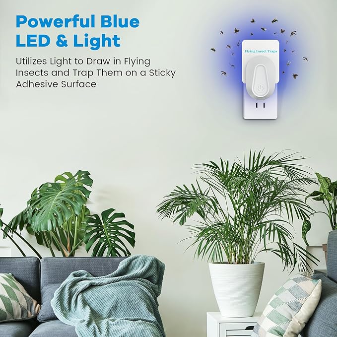 Indoor Fly Trap Plug-in Insect Traps 2 Devices with 6 Refills Fruit Fly Traps for Indoors Gnat Killer for House Flies, Flying Bugs, Moths, Mosquitoes (2 Device 6 Refills)