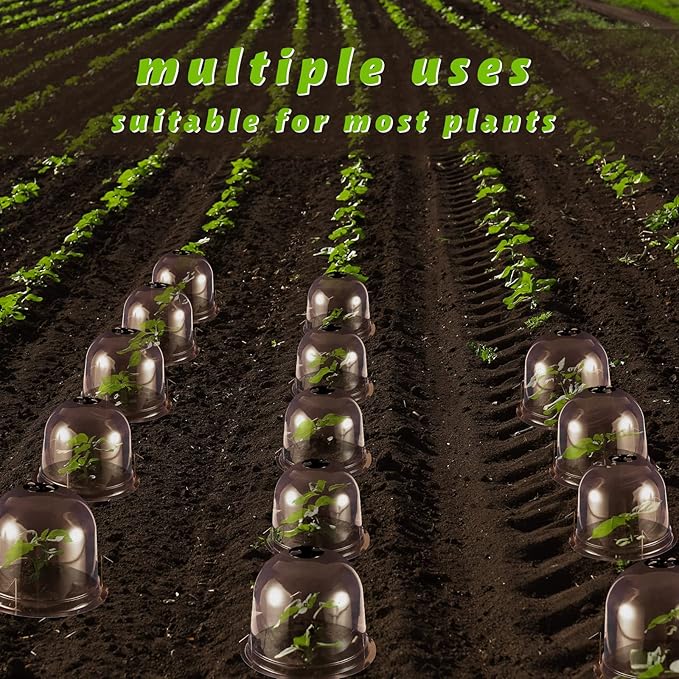 20 Pack Garden Cloche Plant Dome 10.2 D x 8.3 H Plant Cover Plastic Humidity Dome Reusable Plant Protector Mini Greenhouse Dome Plastic Plant Bell Cover with Ground Securing Pegs for Outdoors Plants