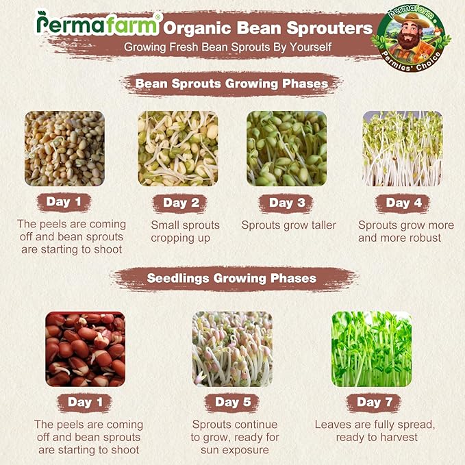 Permafarm® Organic Bean Sprouter, Natural Earthen-Clay Mung Bean Sprouter, Sprouts Growing Kit for Soybeans, Broccoli, Alfalfa & More | Lead-Free, Cadmium-Free (Small Size for Individuals or Couples)