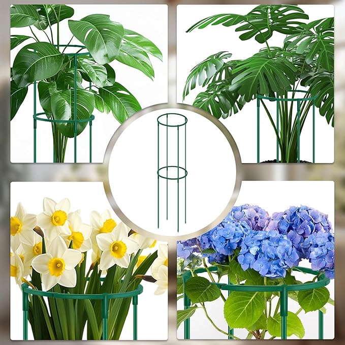 Plant Support Cages 2 Pack,Supking Plant Stake Trellis Adjustable Height and Width for Indoor Outdoor,Plastic Flower Support Ring for Garden Hydrangea Peony Tomato Potted Plants Comes 30 Strap Ties