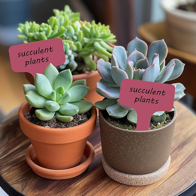 Plant Labels 200 Pcs Yuanling T-Type Plastic Garden Tags Waterproof Plant Sign Stakes Nursery Garden Makers for Seedlings Flower Vegetables Herb Potted Belt Permanet Marker Pen (Red)