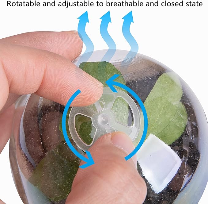 EBaokuup 20pcs Biodegradable Plant Nursery Pots with Humidity Dome, 2.3" Seed Starter Pots for Seedlings, Vegetables