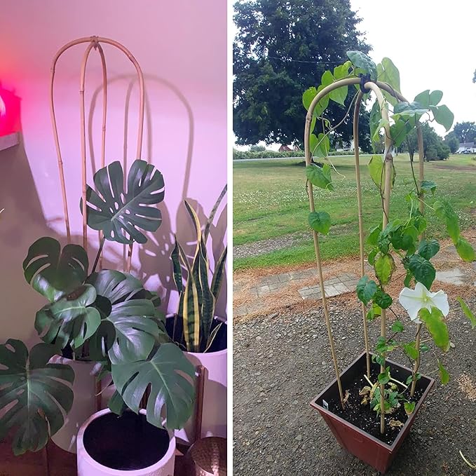 Avalution 10 Pcs Natural U-Hoops Bamboo Garden Trellis, 4 Ft Bamboo Trellis U-Shape Plant Support for Climbing Plants Indoor and Outdoor Use