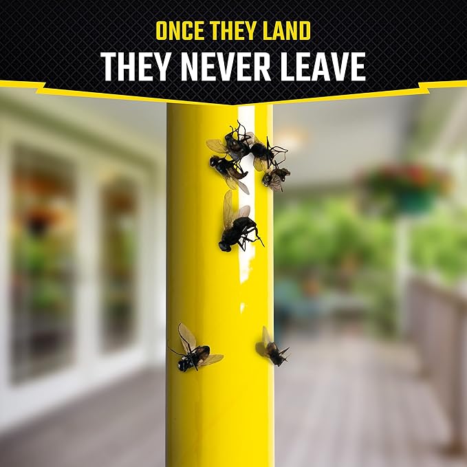 Black Flag Fly Stick, Trap Houseflies and Flying Insects, Pack of 6