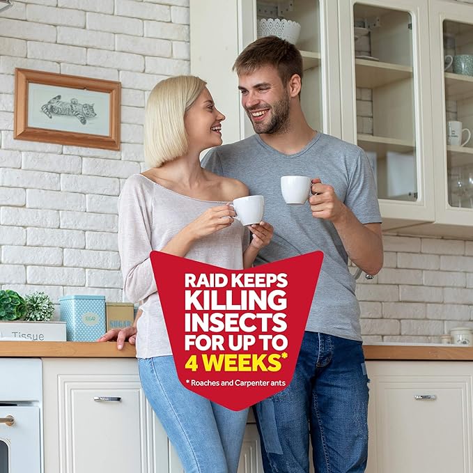 Raid Flying Insect Killer 15 Ounce (Pack of 12)