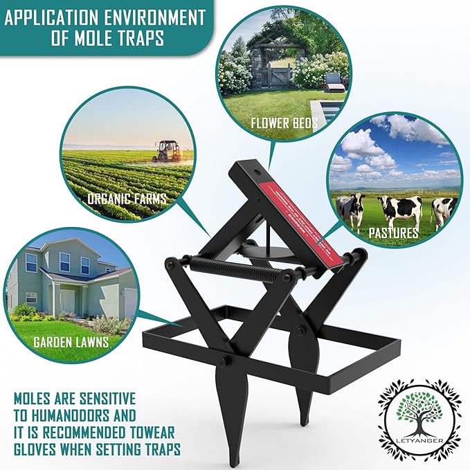 Mole Traps, Black Galvanized Steel Scissor Trap, Reusable Gopher Traps, Mole Killer, Ground Moles Trap for Lawns, 2025 Style (2 Pack)